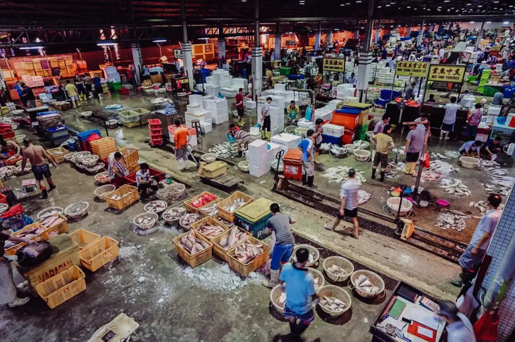 High-angle wide shot of a bustling seafood wholesale market with fresh fish vendors, showcasing the seafood supply chain and sourcing practices behind premium Singapore fish soup restaurants serving fresh pomfret fish.