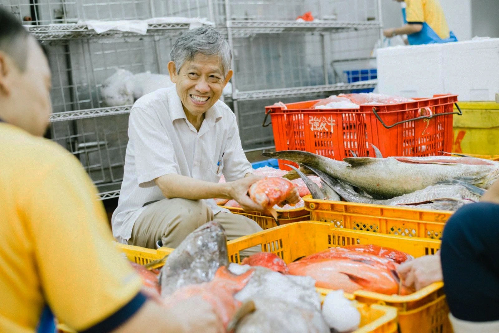 Fresh seafood supplier sorting premium fish at a Singapore seafood market, surrounded by crates of locally sourced fish, captured at eye-level angle to showcase the family trade behind Hup Lok's fresh fish soup.